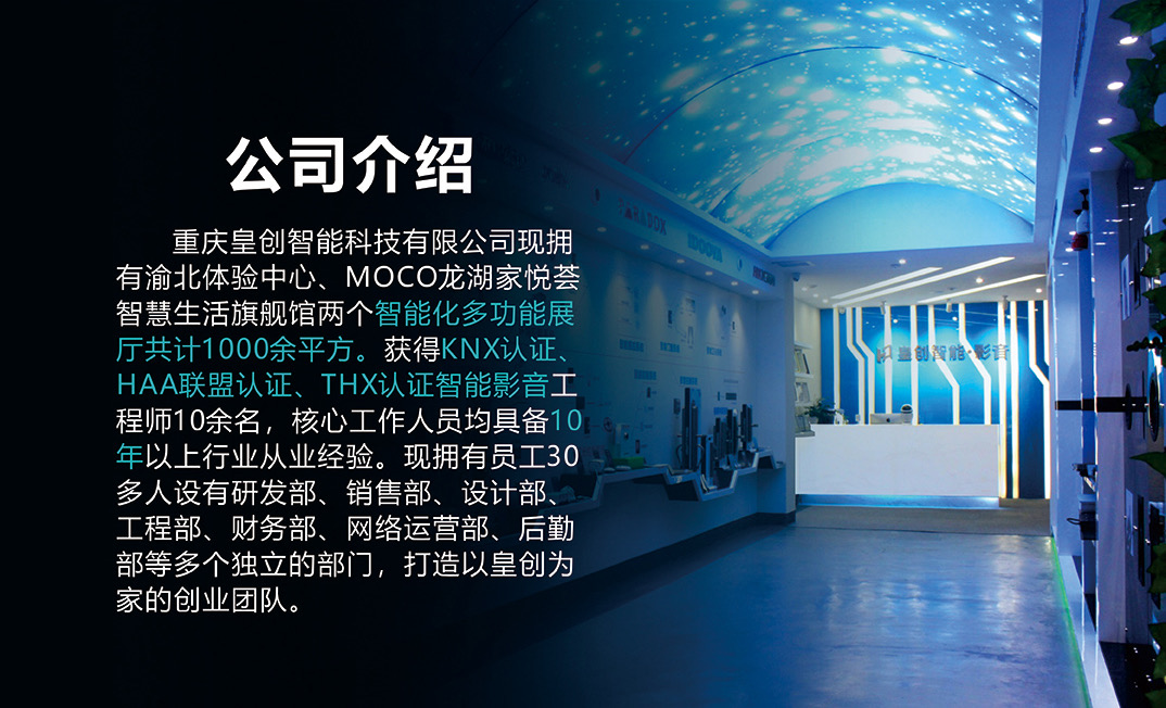 智能安防系統 智能安防系統